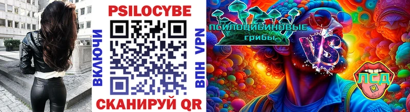 мега маркетплейс  Чусовой  сайты даркнета как зайти  Псилоцибиновые грибы Magic Shrooms 